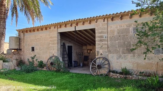 Finca en venta en Llucmajor (Baleares)