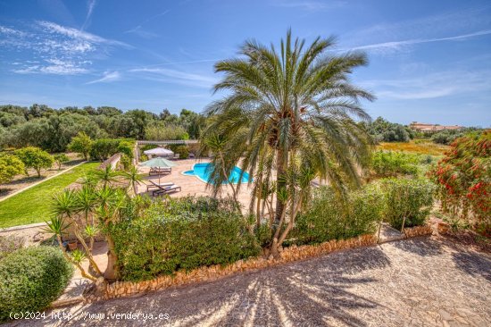 Finca en venta en Llucmajor (Baleares)