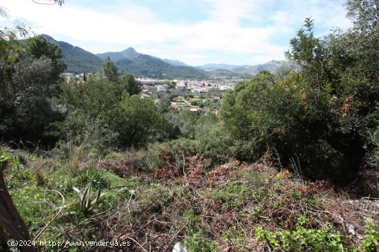 Parcela en venta en Orba (Alicante)