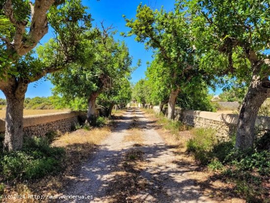 Casa en venta en Alaior (Baleares)