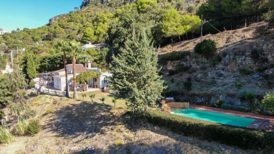  Finca en venta en Casares (Málaga) 