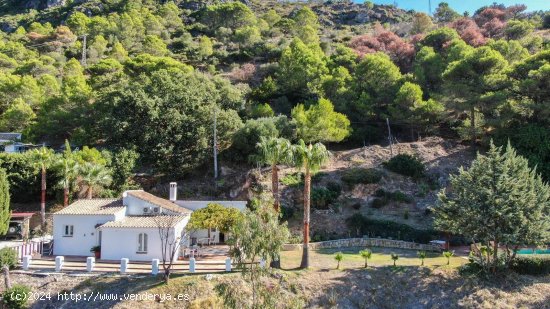 Finca en venta en Casares (Málaga)