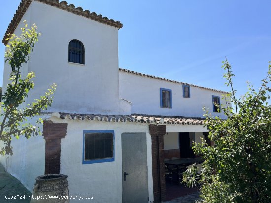 Finca en venta en Ronda (Málaga)