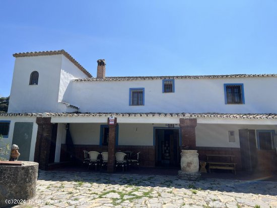 Finca en venta en Ronda (Málaga)