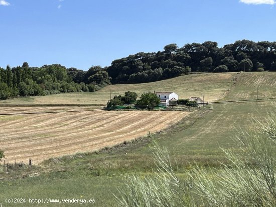 Finca en venta en Ronda (Málaga)