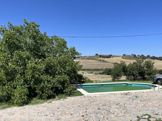 Finca en venta en Ronda (Málaga)