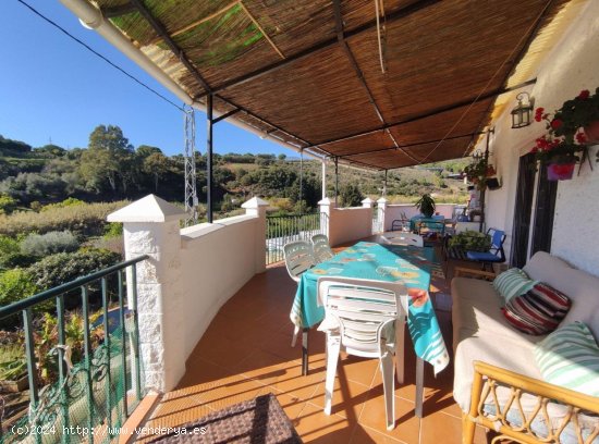 Finca en venta en Estepona (Málaga)