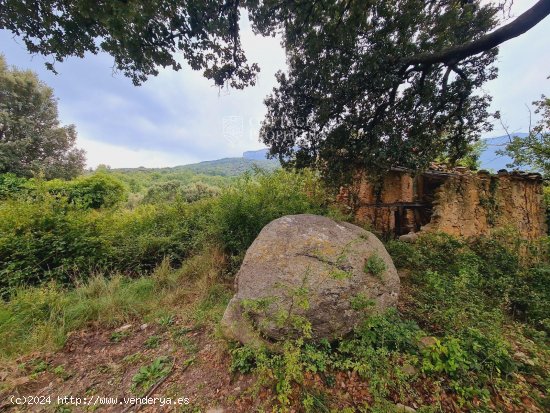 Casa en venta en Amer (Girona)