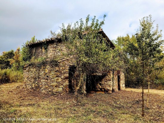  Villa en venta en Amer (Girona) 