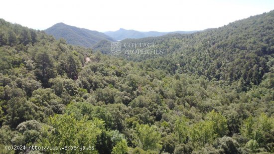 Casa en venta en Maçanet de Cabrenys (Girona)