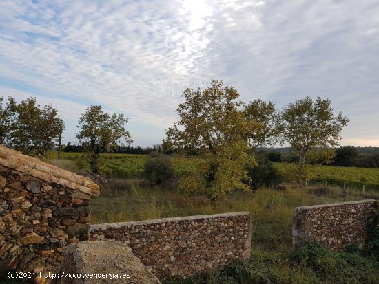 Villa en venta en Garriguella (Girona)