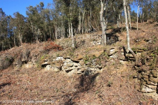 Villa en venta en Palol de Revardit (Girona)