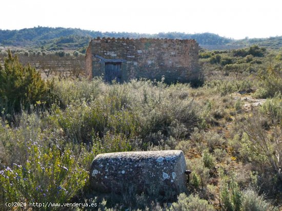  Finca en venta en Caspe (Zaragoza) 