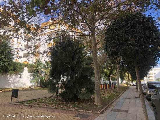 Local en venta a estrenar en Marbella (Málaga)