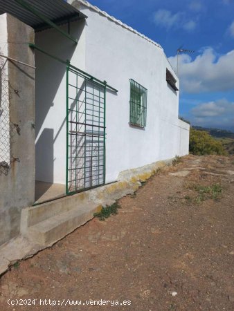 Finca en venta en Coín (Málaga)