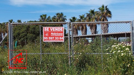  Parcela en venta en Chipiona (Cádiz) 