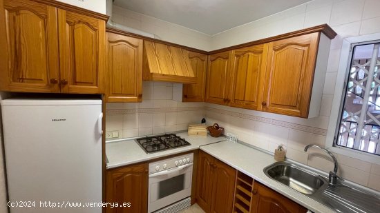 Apartamento en alquiler en Calvià (Baleares)