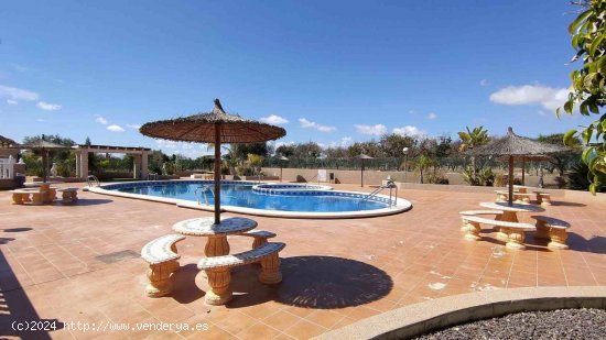 Villa en venta en Guardamar del Segura (Alicante)