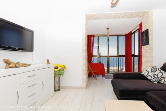 Apartamento en venta en Torrevieja (Alicante)