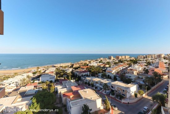 Apartamento en venta en Torrevieja (Alicante)