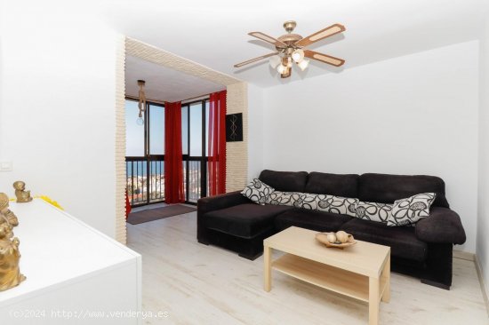 Apartamento en venta en Torrevieja (Alicante)