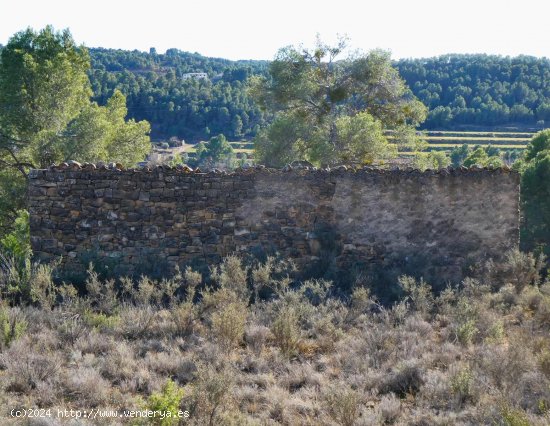  Finca en venta en Mazaleón (Teruel) 