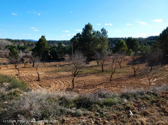 Finca en venta en Mazaleón (Teruel)