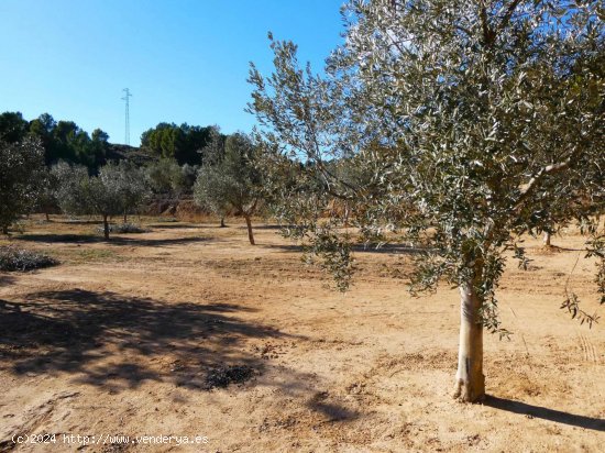 Finca en venta en Mazaleón (Teruel)