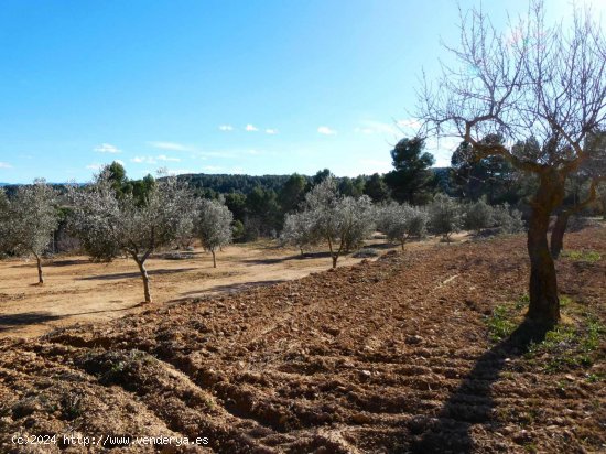 Finca en venta en Mazaleón (Teruel)