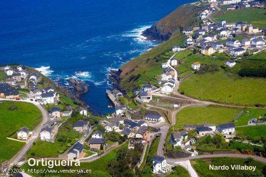 Casa en venta en Coaña (Asturias)