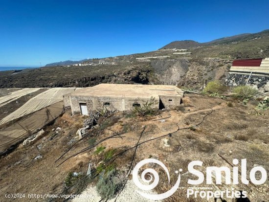 Finca en venta en Adeje (Tenerife)