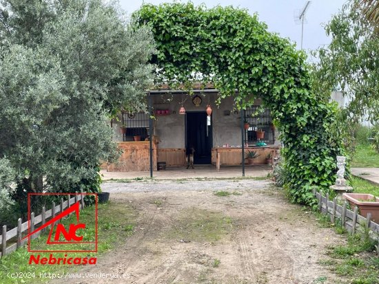  Parcela en venta en Las Cabezas de San Juan (Sevilla) 