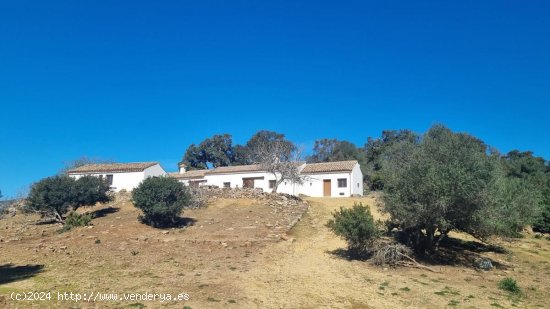  Villa en venta en Castellar de la Frontera (Cádiz) 