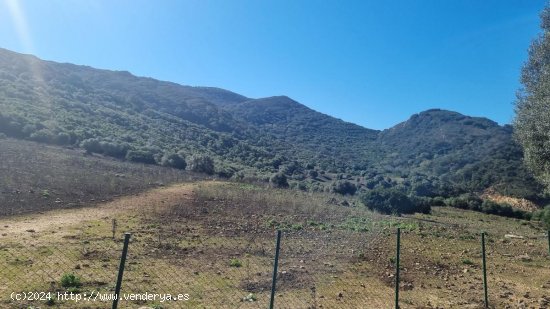 Villa en venta en Castellar de la Frontera (Cádiz)