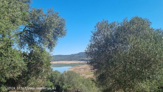 Villa en venta en Castellar de la Frontera (Cádiz)