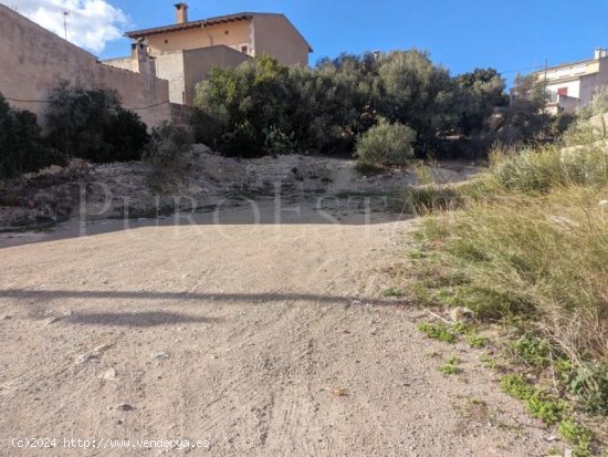 Parcela en venta en Sant Joan (Baleares)