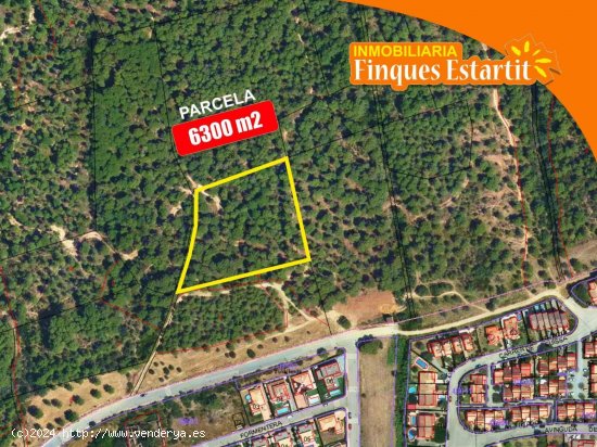  Finca en venta en Torroella de Montgrí (Girona) 