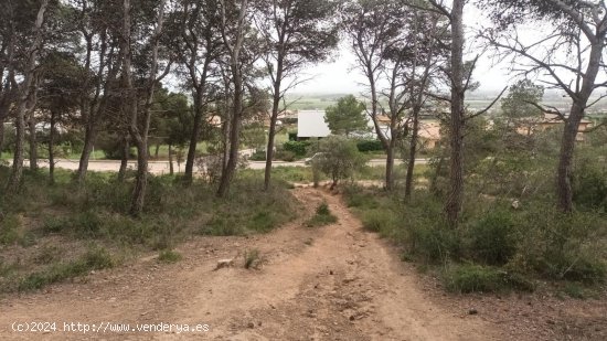 Finca en venta en Torroella de Montgrí (Girona)