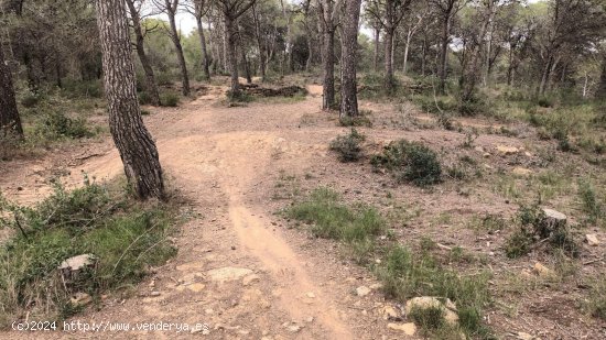 Finca en venta en Torroella de Montgrí (Girona)