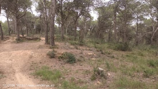 Finca en venta en Torroella de Montgrí (Girona)