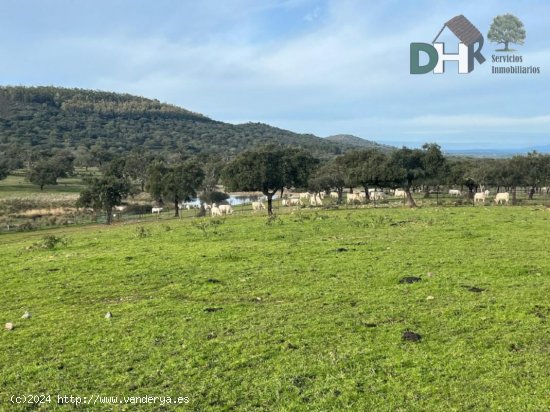 Solar en venta en Cáceres (Cáceres)