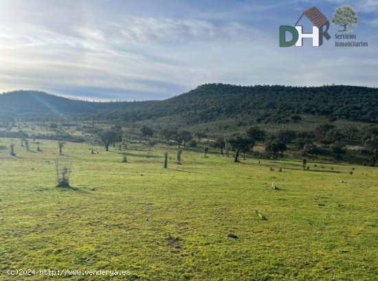 Solar en venta en Cáceres (Cáceres)