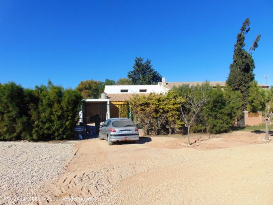  Finca en venta en Fuente Álamo de Murcia (Murcia) 