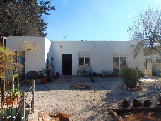 Finca en venta en Fuente Álamo de Murcia (Murcia)