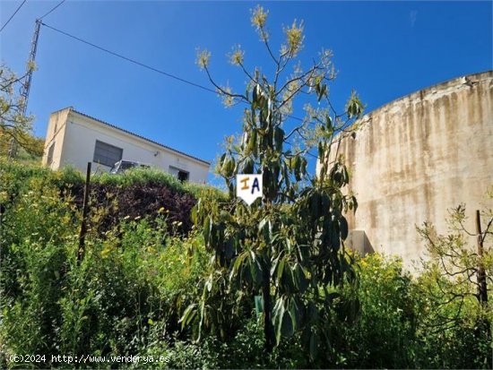 Finca en venta en Algarrobo (Málaga)