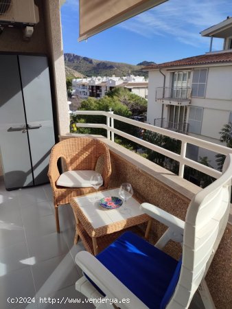  Apartamento en alquiler en Pollença (Baleares) 