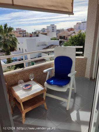 Apartamento en alquiler en Pollença (Baleares)