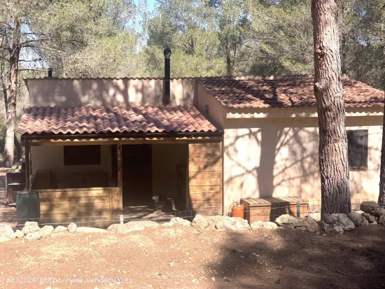  Finca en venta en Ginestar (Tarragona) 