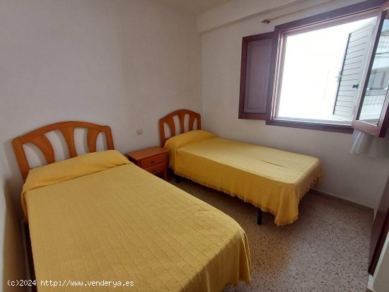 Apartamento en alquiler en Oliva (Valencia)