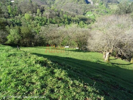 Parcela en venta en Oviedo (Asturias)